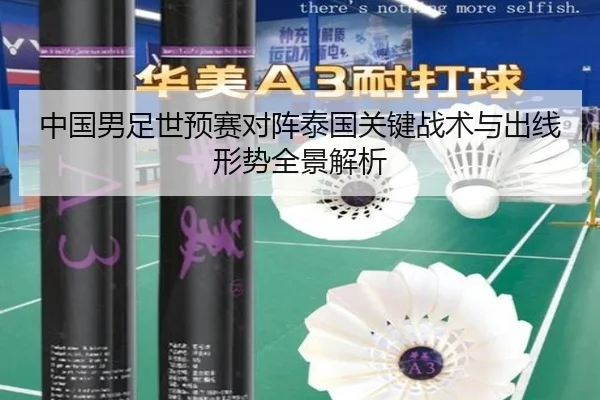 中国男足世预赛对阵泰国关键战术与出线形势全景解析