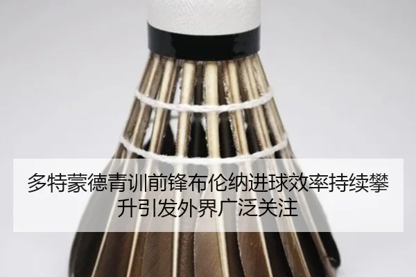 多特蒙德青训前锋布伦纳进球效率持续攀升引发外界广泛关注